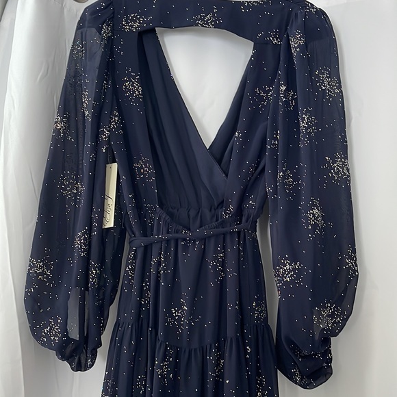 NWT - ModCloth Its a Long Story Chiffon Maxi Dress - Picture 7 of 8